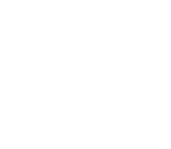 telephone